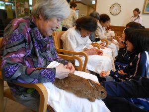 アニマルセラピー