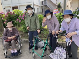 紫陽花を見に行ってきました♪