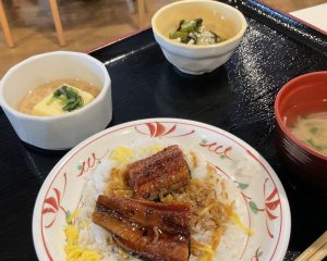 土用丑の日2023　「うな丼」初登場‼