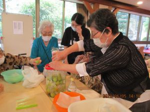 解禁！！梅ジュースの日！