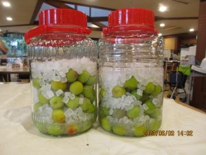 梅ジュースを作りました