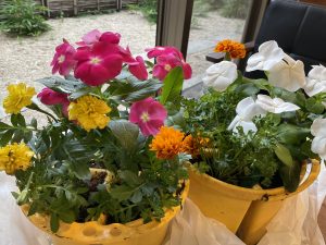 ガーデニング作り